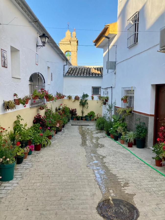 Apartamento Nuevo En Sierra Sur Sevilla Villanueva de San Juan Exteriér fotografie